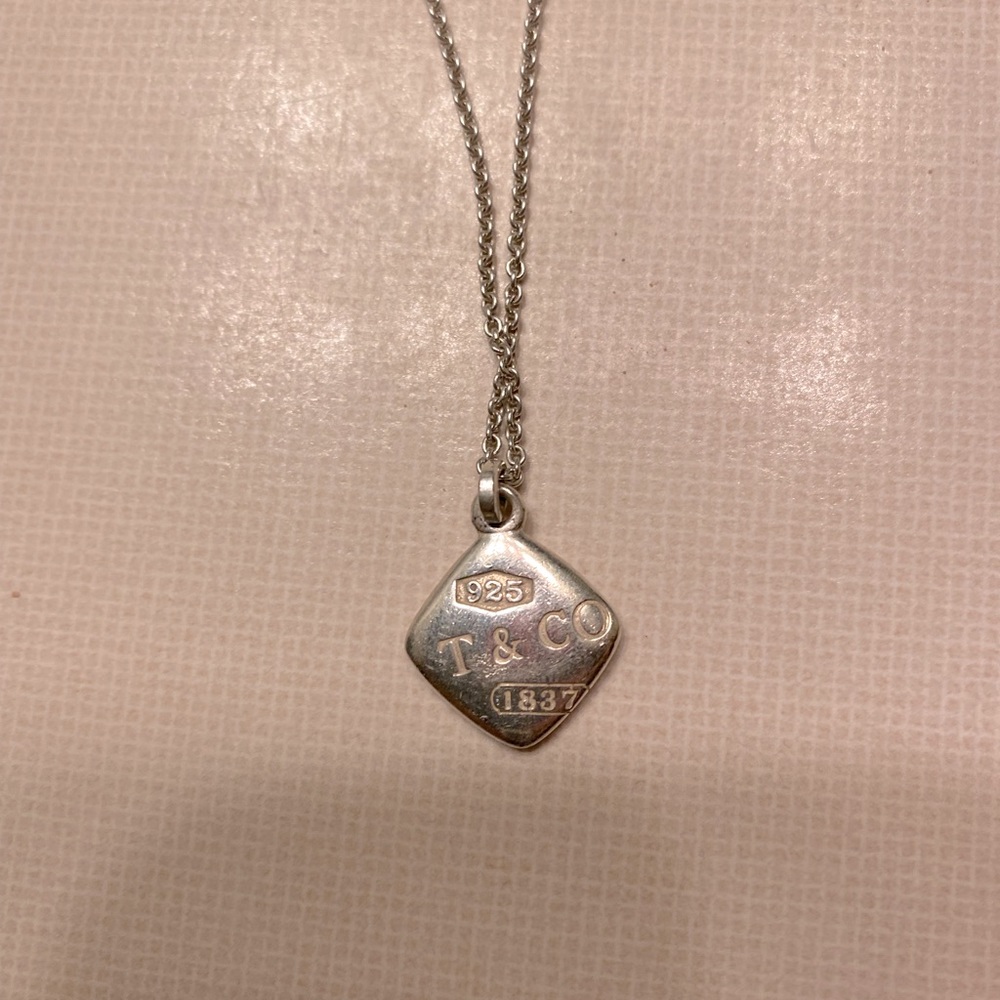 Tiffany necklace comes with dust bag